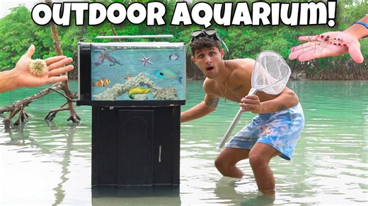 Catching exotic fish and invertebrates for my outdoor aquarium!