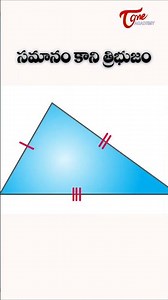 What is an Isosceles Triangle? | TET Maths Practice #competitiveexams #tet