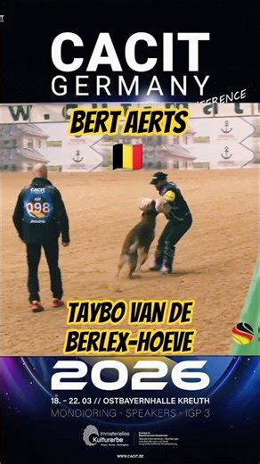 CACIT Germany 26 1st place🥇 Bert Aerts🇧🇪& Taybo van de Berlex-Hoeve in SD 98 points! Back transport