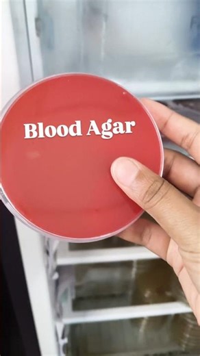 Microbiology Instruments #labtechnician #microbiology #medicalstudent