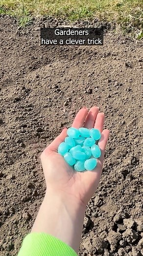 Scatter around the garden before planting flower bulbs 🌸 | Clever Life Hacks