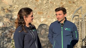 6.9K views · 53 reactions | LES RISQUES DE LA PLACENTITE CHEZ LA JUMENT GESTANTE : par les DR VETERINAIRES MATHILDE HERVIEU & JONATHAN URLACHER, de la Clinique Equine de MESLAY DU MAINE. Comment détecter les signes de la pathologie. Les soins à prodiguer. | France Sire | Facebook