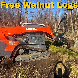 26K views · 312 reactions | Land Clearing with a Tree Saw and a Mini Excavator | Rockhill Farm - Tractors, Firewood, and Excavating | Facebook