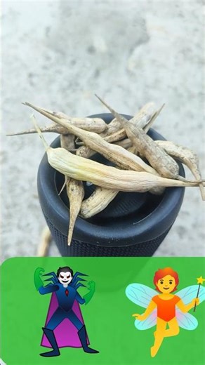 Tip Tip Barsa Pani #sound #test #jbl #song #shots #ytshorts #tranding #youtube #speaker #bass #viral