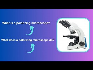 What is a polarizing microscope? What does a polarizing microscope do?