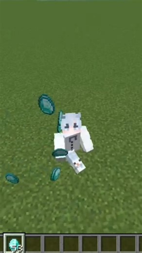 Das nützlichste Item in Minecraft🤣🔥🧂 #minecraft #gaming #helpmemakethismakesense #fyp #ytshorts