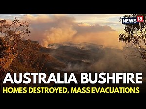 Australia Bushfires LIVE | Authorities Urge Thousands To Flee New South Wales Bushfires | N18G