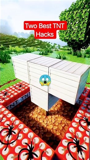 Minecraft 🌲 Two TNT🔥Hacks #minecraft #tutorial