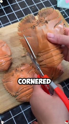 Second Date Update: Brooke and Jubal's Latest Prank