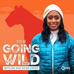 Not Your Average Field Trip | Going Wild with Dr. Rae Wynn-Grant | Podcast | Nature