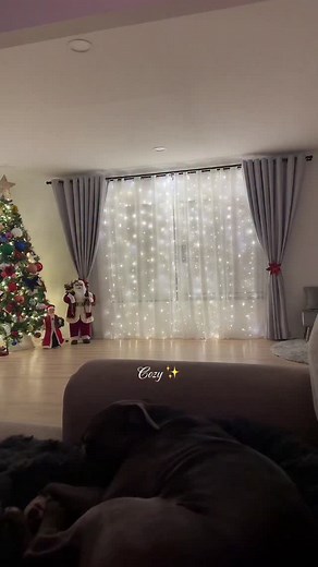 23 reactions · 3 comments | These lights make any room feel way too cozy without even trying ✨李  Make sure you’re following & comment “LINK” so you don’t miss the DM (it won’t show if you’re not following ) #stringlights #cozyhomedecor #cozybedroom #homefinds #tiktokshopblackfriday | Smart Gadget world | Facebook