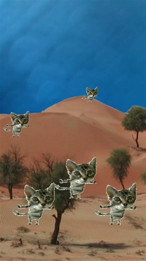 what would cats be the first to do if there were no other creatures on earth...