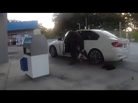 Officer and K9 Dragged by Fleeing Car in Florida: Cops