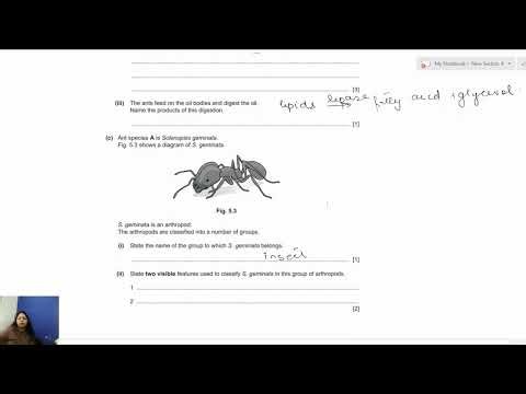 0610 Paper 2 Ecology & Photosynthesis Graph Questions Explained Ant Seed Dispersal & Carbohydrates