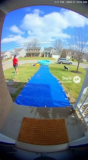 not surprised: za movie