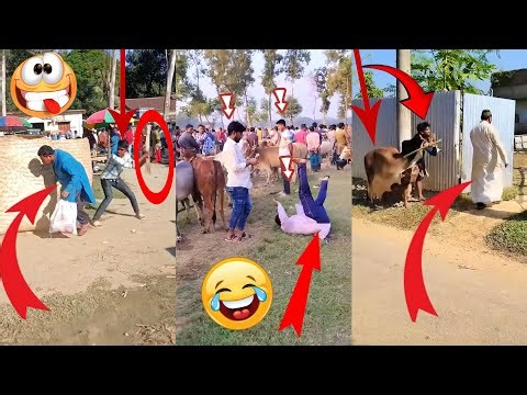 Public Pranks That Will Make You Laugh Out Loud! 😆