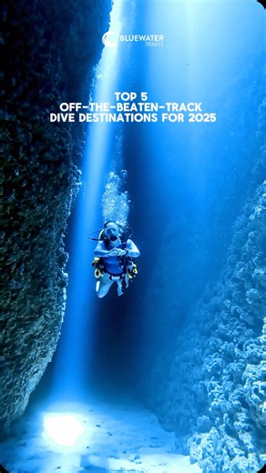 Bluewater Dive Travel on Instagram: "🤩 Top 5 off the beaten track dive destinations to travel to in 2025! Which is your favorite? Following on from the top 13 scuba diving destinations to travel to in 2025, here’s a great sample of some of the best remote scuba destinations: 🇨🇷 Cocos Island, Costa Rica 🇮🇩 Komodo, Indonesia 🇸🇧 Solomon Islands 🇵🇬 Papua New Guinea 🇫🇲 Micronesia Do you have any favorite off the beaten track diving destinations that you think should be on this list? 🔥 If 