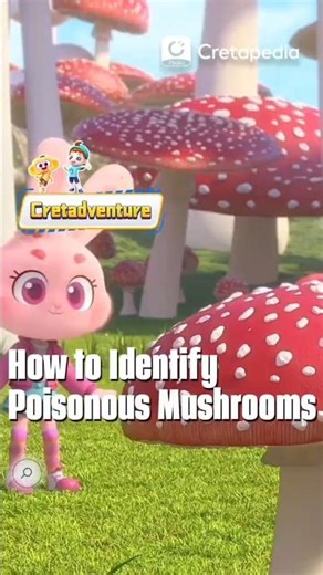 How to Identify Poisonous Mushrooms？🤔🍄