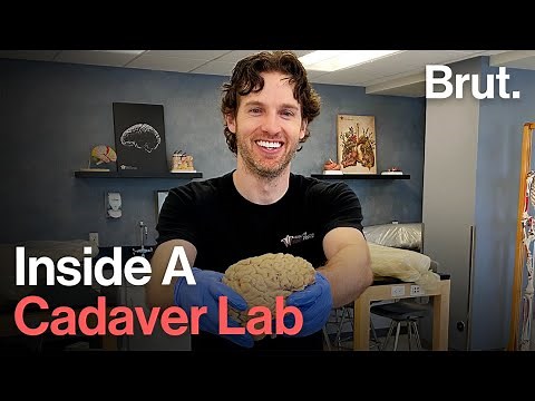 Jonathan Bennion Dissects Human Bodies for Anatomy Education