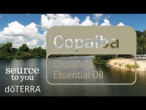 doTERRA Copaiba Essential Oil