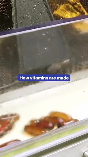 10K views · 125 reactions | How vitamins are made #vitamins #naturebounty #howitsmade #health | Business Insider Africa | Facebook