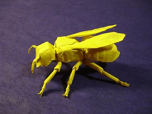 Yellow Jacket - Lang