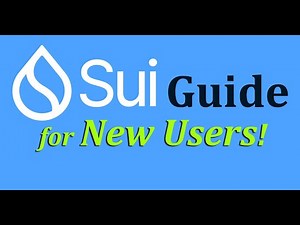 Ultimate Sui Beginners Guide | How to Get Started!