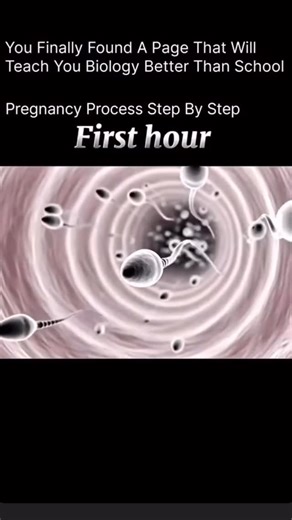Medical Student on Instagram: "Pregnancy process step by step 1. Ovulation • Occurs mid-cycle (~day 14 of a 28-day cycle) • LH surge triggers release of a secondary oocyte from the ovary • Oocyte enters the fallopian tube (ampulla) ⸻ 2. Fertilization • Occurs in the ampulla of the fallopian tube • Sperm undergoes capacitation • Acrosome reaction allows sperm to penetrate zona pellucida • Fusion of sperm and oocyte membranes • Completion of meiosis II → formation of zygote (46 chromosomes) ⸻ 3. C