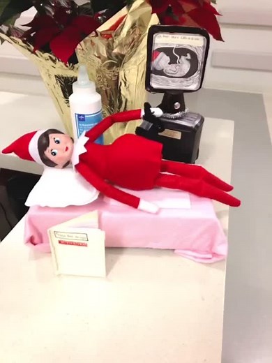 The Heartwarming Elf's Birth Story | Elf on the Shelf Pregnancy