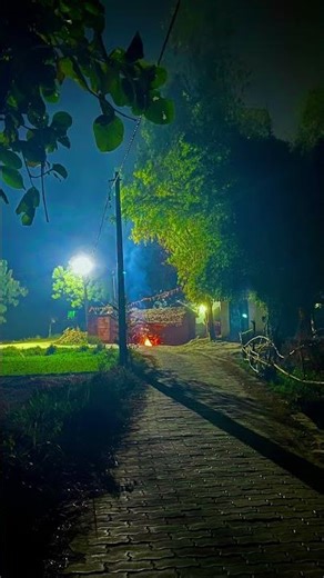 Gehra hua #shorts #nature #js #photography