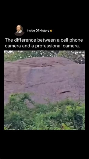 Inside Of History | Professional DSLR cameras have larger sensors and high-quality lenses, allowing them to capture far more light and detail. This results in... | Instagram