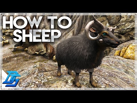 How To Tame Ovis, Where to Find, and Why They Are Rare, Mutton! - Ark Survival Evolved