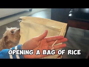 How to open rice bag EASILY