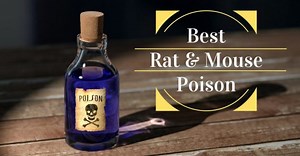 6 Best Rat & Mouse Poison - Pest Survival Guide