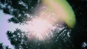 1.7K views · 76 reactions | The “Homeopathy Another Way” Documentary + Giveaway group is here to offer a special chance to watch the film, FREE for a limited time. Plus, we're giving away an exclusive Boiron gift bag filled with products + a $25 American Express gift card to five members of the group who have watched the film! Join now! | BOIRON USA | Facebook