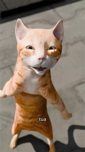 Dasar Pengudud Ngeyel #oyen #seputarngawur #botak