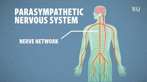 The Science Behind Sound Therapy Ads for sound therapy, or sound baths, say these musical sessions provide mental-health benefits like relieving stress and anxiety. Music and sounds can greatly impact mood and affect feelings, but how does calming music affect your brain compared to tenser music? I break down what’s known and what’s not about the science of sound therapy. | Duncan Oil Propane