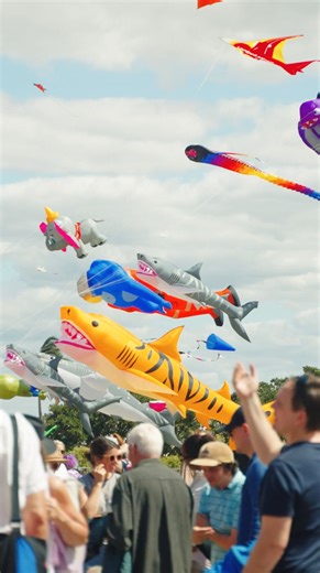 Join the fun at Redcliffe KiteFest! From professional kite flying displays, kite-making workshops, food trucks and more. | Vietjet Redcliffe KiteFest | Facebook