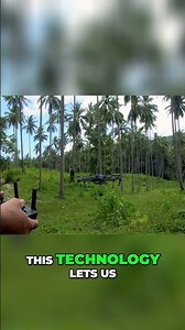 AI for Forests: Smarter Planting, Real Solutions