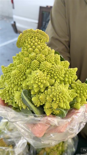 Kelowna Farmers' Market on Instagram: "The Romanesco... have you seen one of these before!? These psychedelic-looking veggies originated in Italy, and you can pretty much treat them like a cauliflower, but with more of a Brussel sprouts taste. What would you try making with a romanesco? @taba.farms #farmersmarket #kelownamarkersmarket #romanesco #buybc #supportlocalbc #supportlocalfarmers"