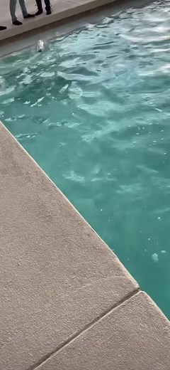 NBA YoungBoy (@officialnba_yb)’s videos with original sound - NBA YoungBoy