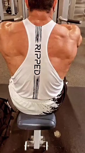 Rutinas de Musculación en Canal de YouTube | Jonathan Padilla