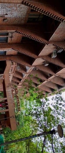 A Glimpse of the School of Life Sciences (SLS), JNU