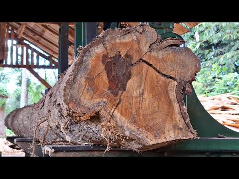The process of chopping old teak wood logs full of dense fibers in a sawmill