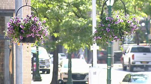 Hanging flower baskets ready to go up in Downtown Syracuse, as summer approaches