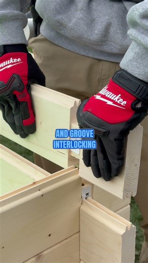 The ultimate 200 sq ft cabin that's actually affordable & builds in a single weekend!