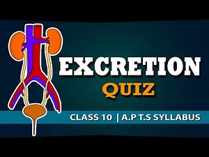 Excretion Quiz |Visarjaka Vyavastha | Class 10th biology |10th science videos | Eduscope Quiz Videos