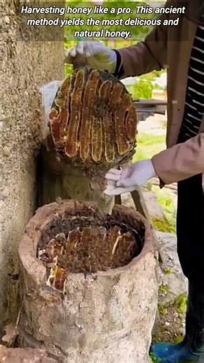 Amazing Beekeeping Technique.