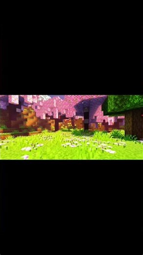 Minecraft Most Amazing Shaders in 1.21#minecraftbuilding #shortsfeed #gaming #trending #shorts
