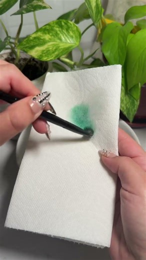 Testing a Cinema Secrets Brush Cleaner Dupe